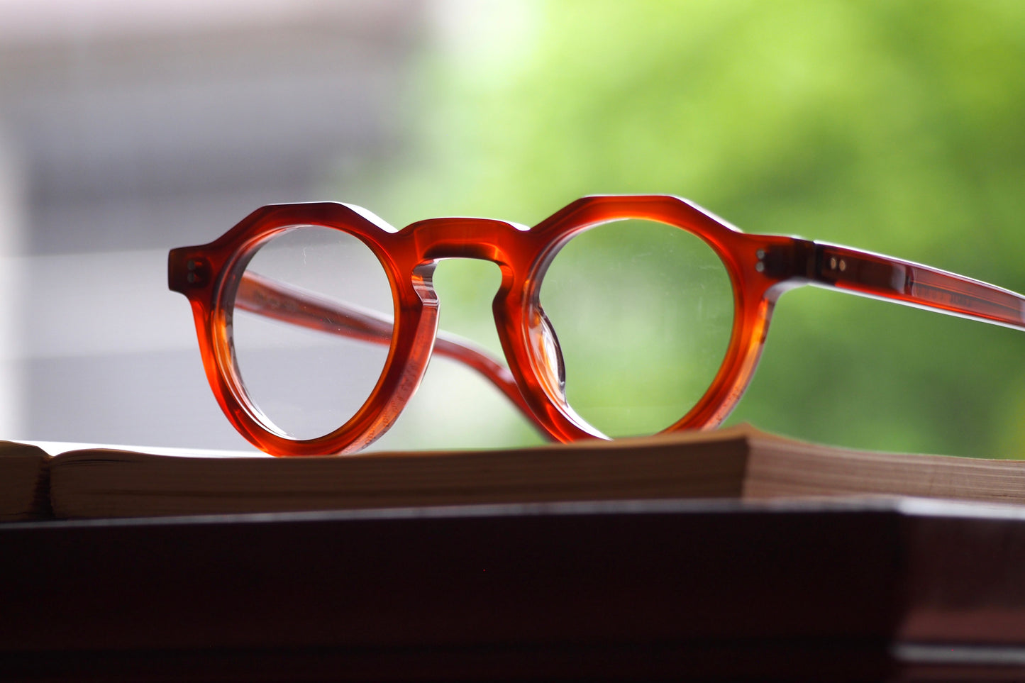 Lesca Lunetier VINTAGE 1964 COL.53 BROWN