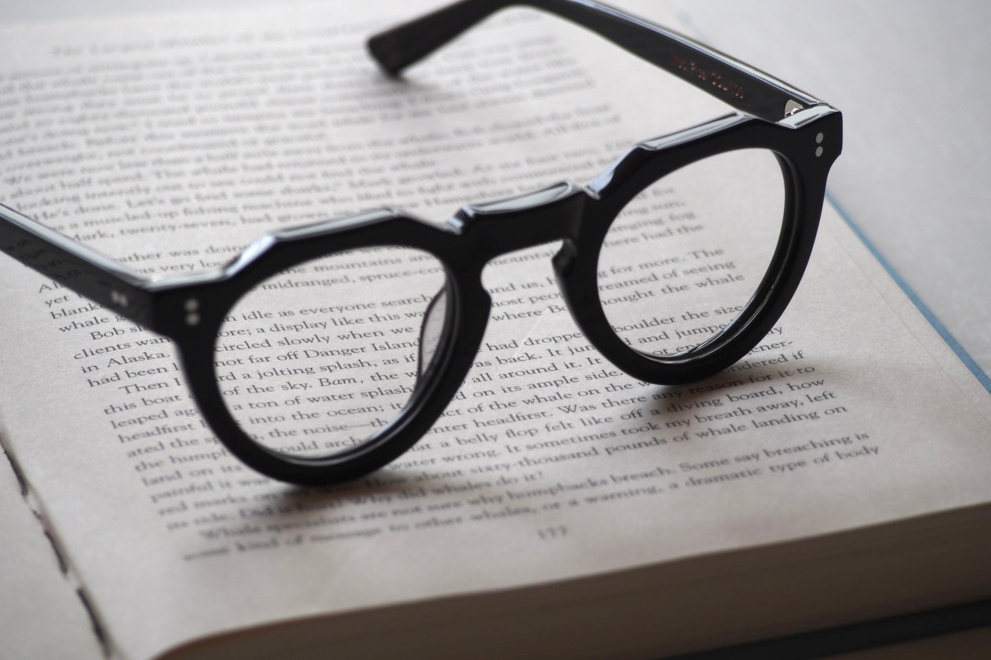 Lesca Lunetier PICA COL.100 Black