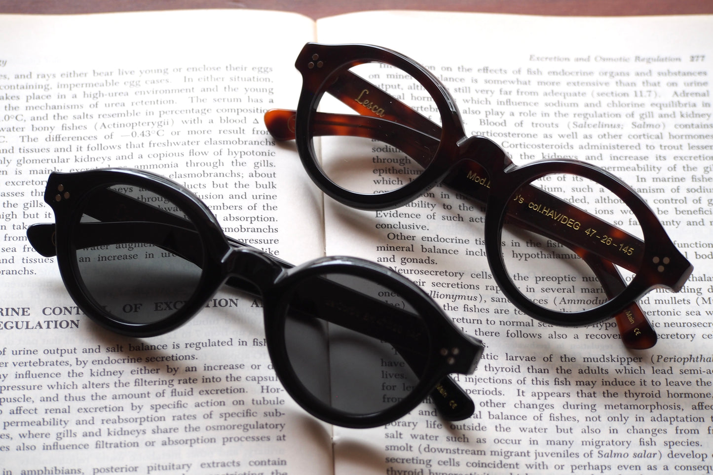 Lesca Lunetier　La Corb's　COL HAV/DEG