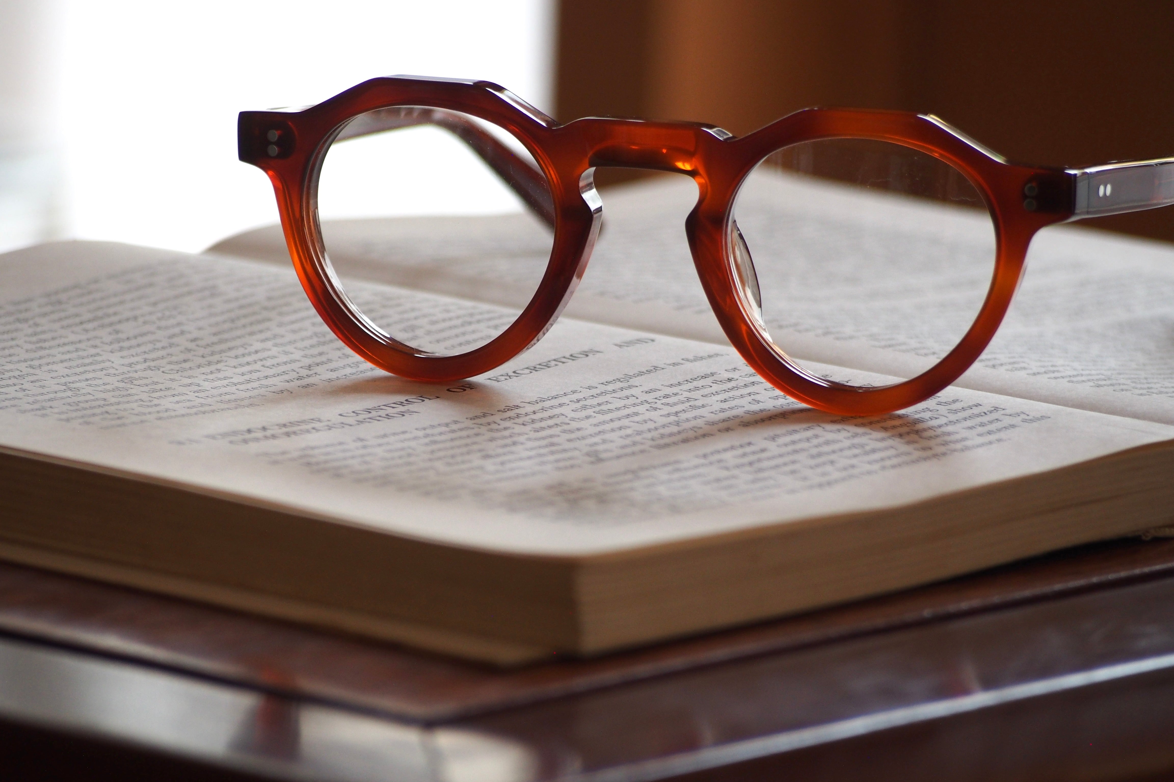 Lesca Lunetier VINTAGE 1964 COL.53 BROWN – SUI OPTIQUE