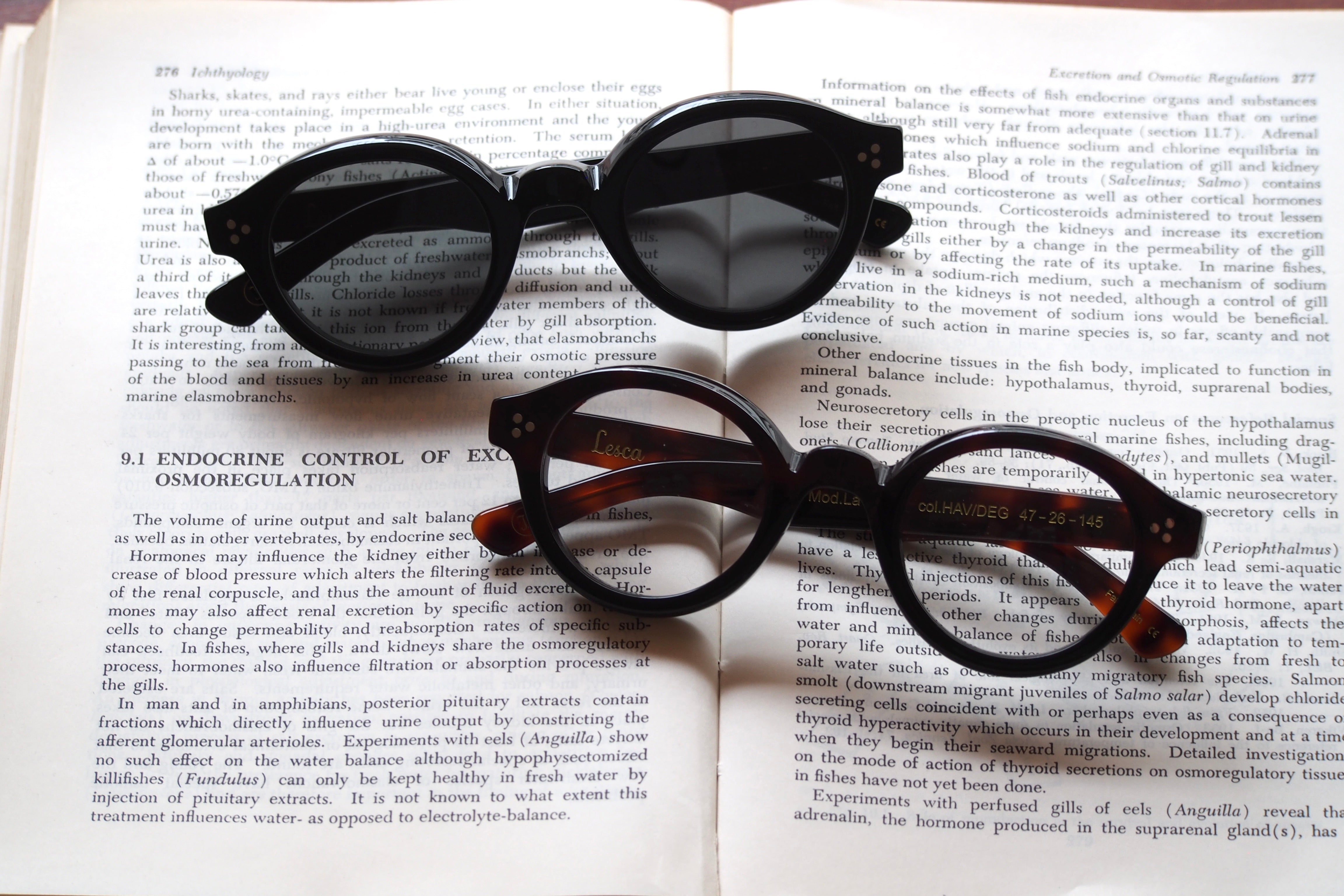 Lesca Lunetier La Corb's COL HAV/DEG – SUI OPTIQUE