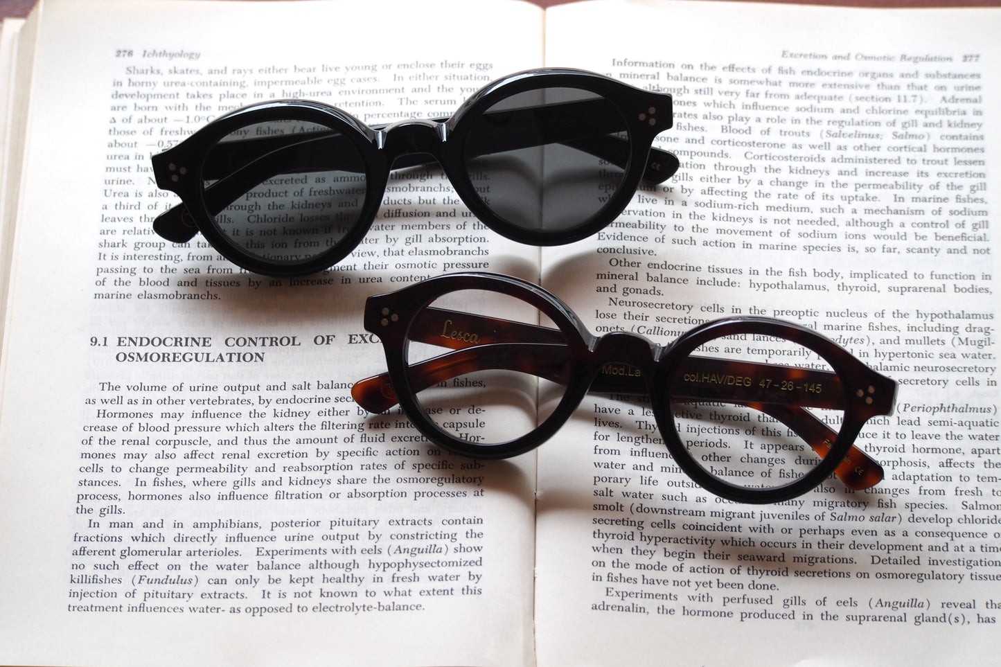 Lesca Lunetier　La Corb's　COL HAV/DEG