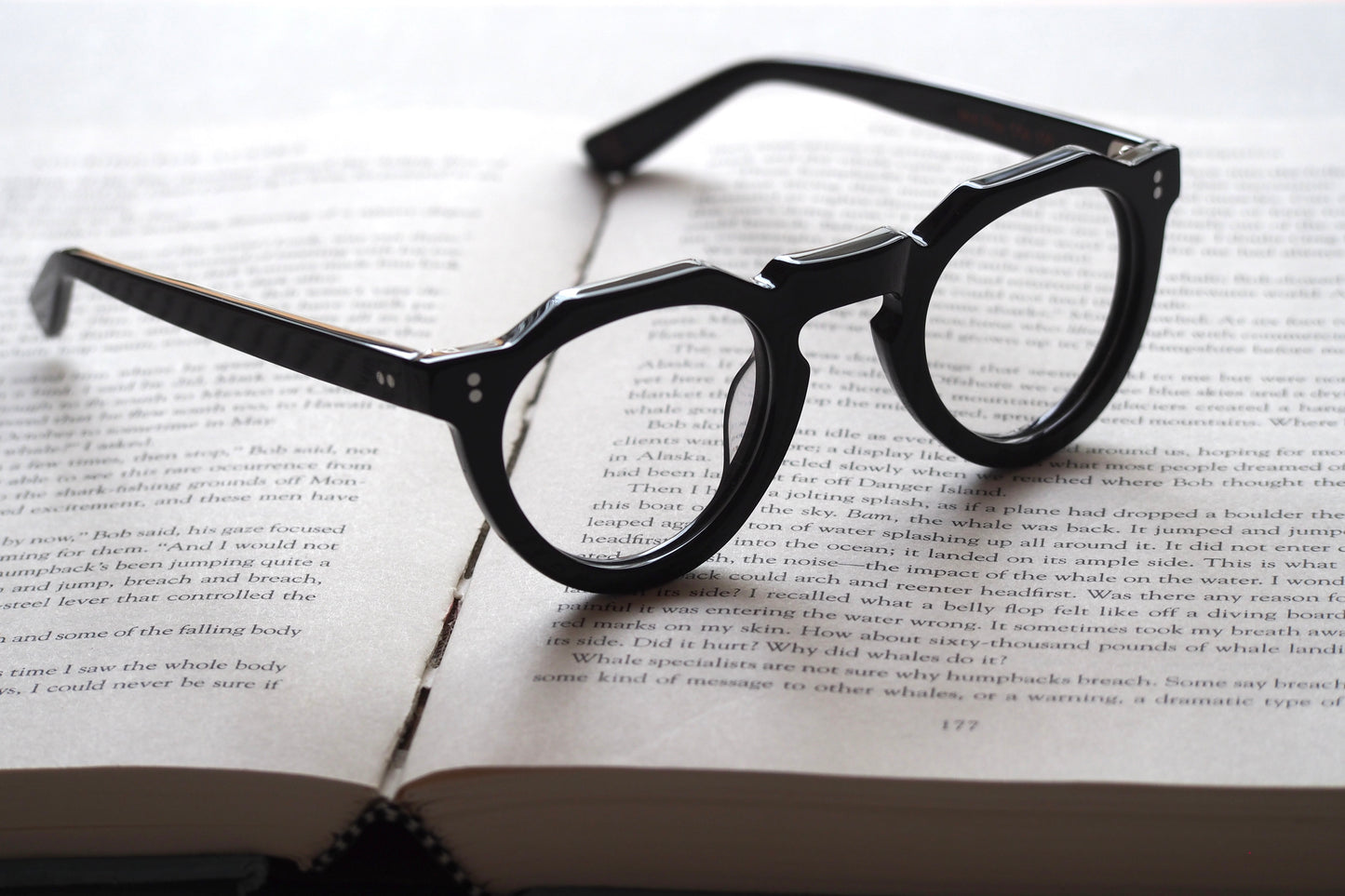 Lesca Lunetier PICA COL.100 Black