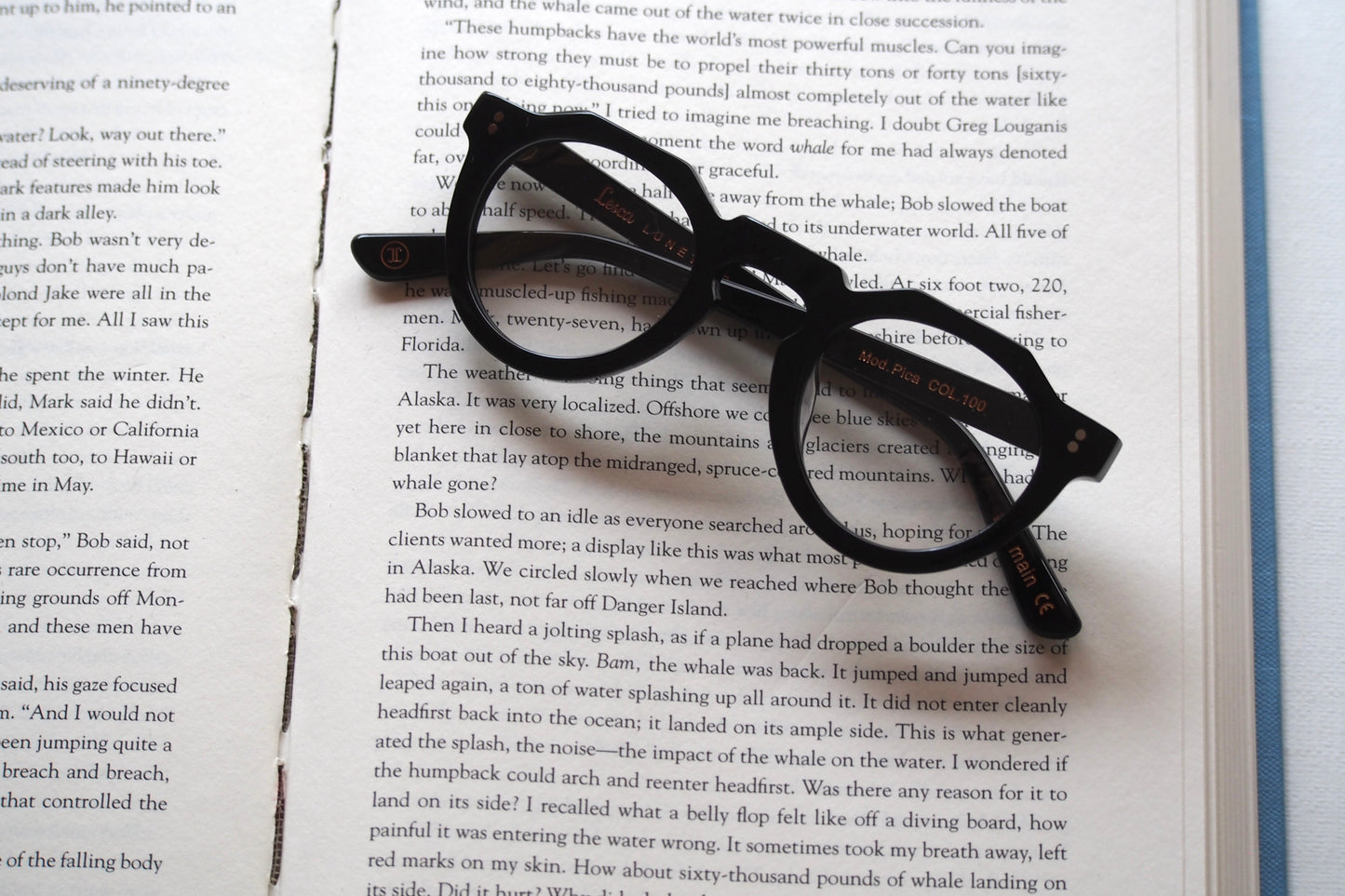 Lesca Lunetier PICA COL.100 Black