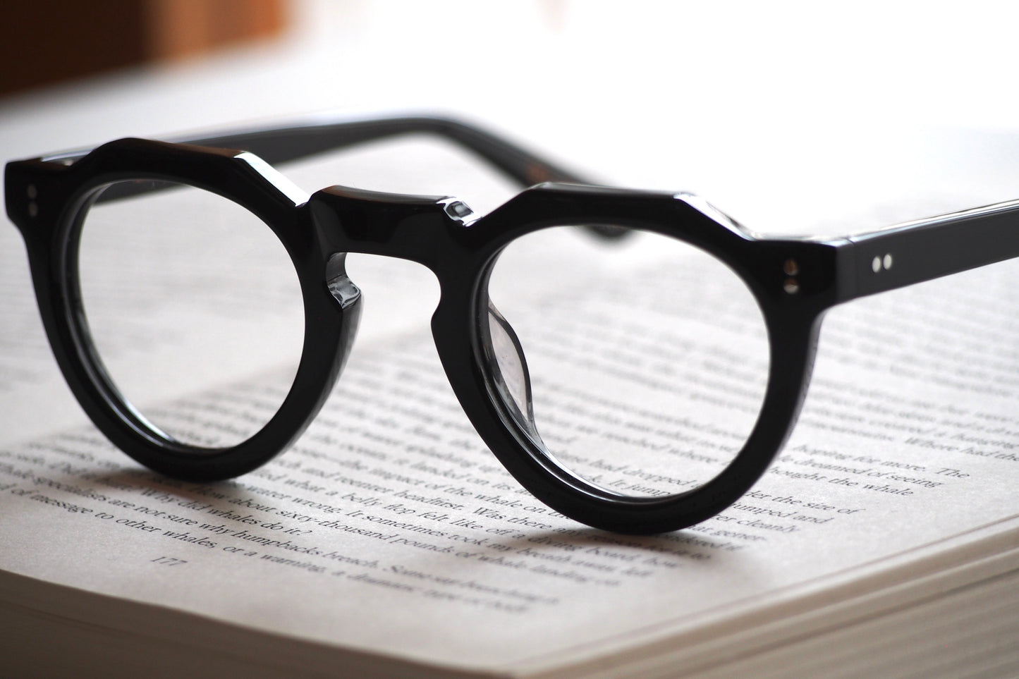 Lesca Lunetier PICA COL.100 Black