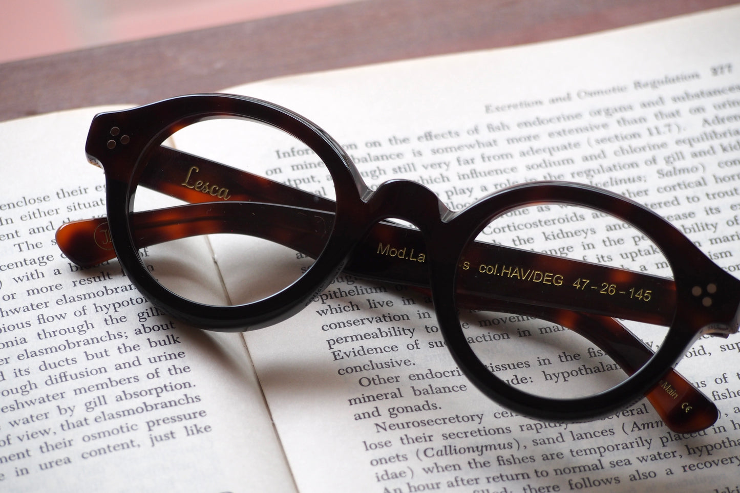 Lesca Lunetier　La Corb's　COL HAV/DEG