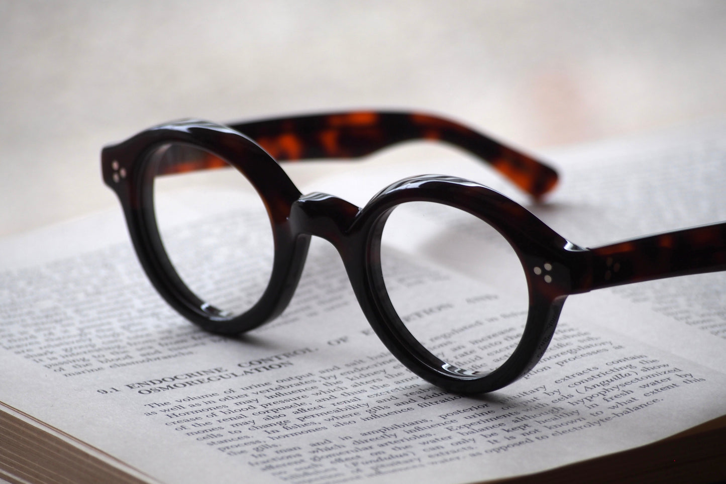 Lesca Lunetier　La Corb's　COL HAV/DEG