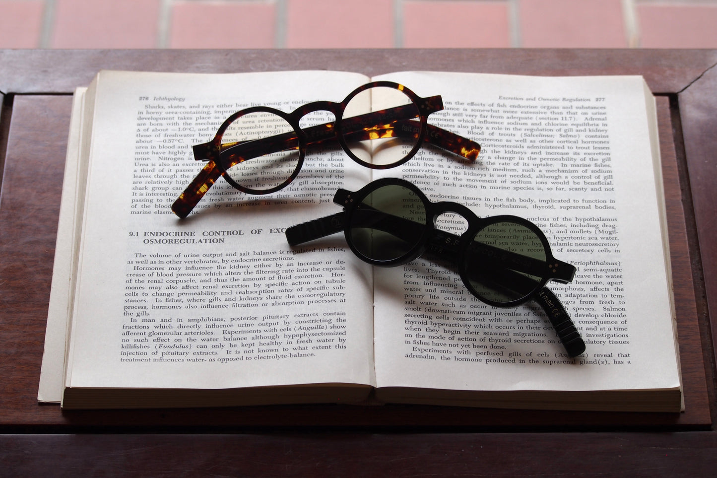 Lesca Lunetier S.Freud COLOR 5 Black