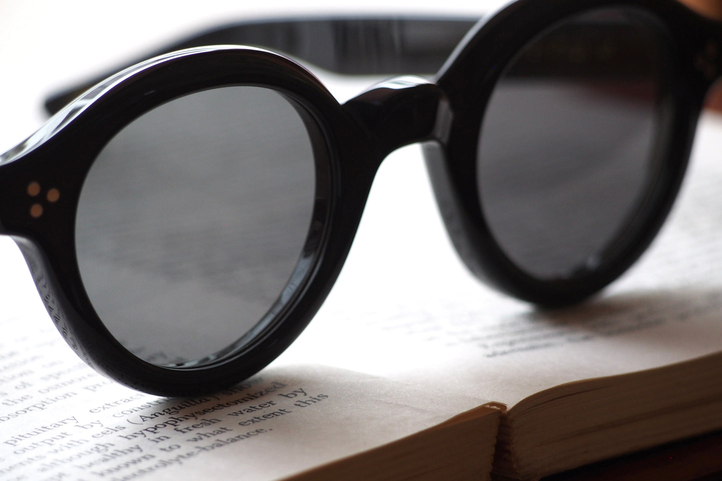 Lesca Lunetier　La Corb's　COL BLACK