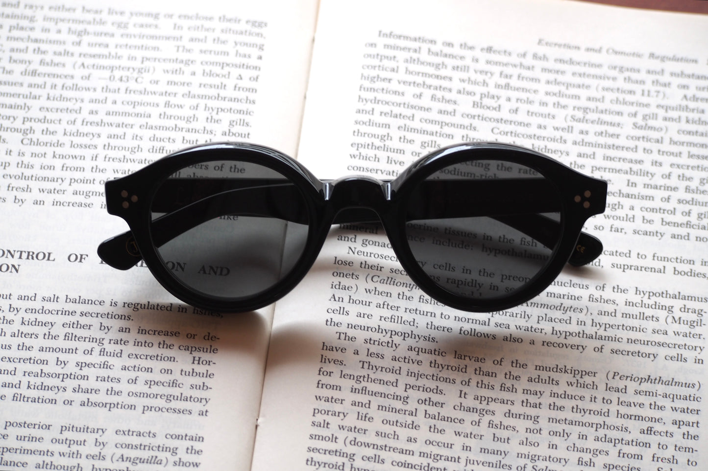 Lesca Lunetier　La Corb's　COL BLACK