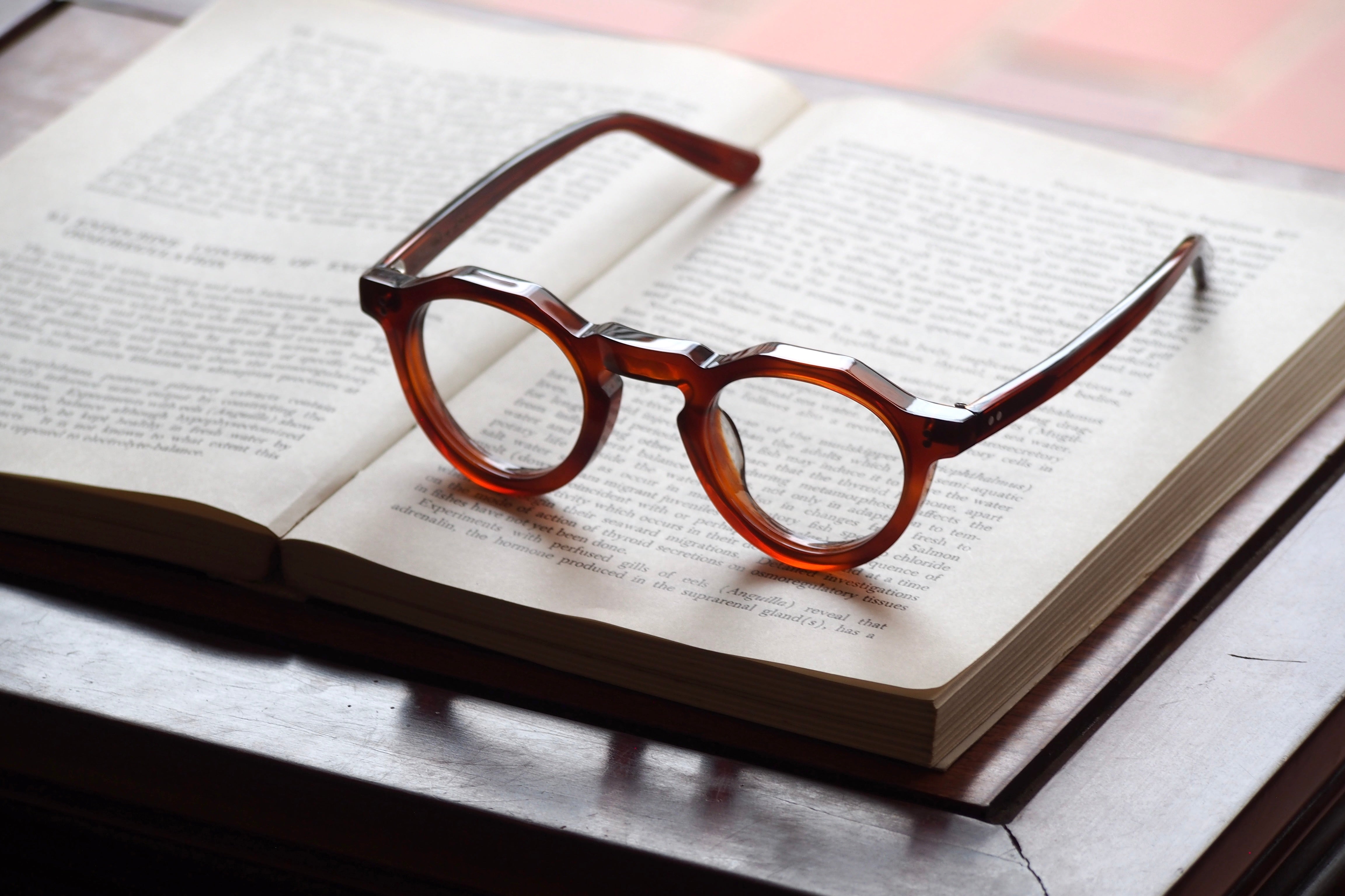 Lesca Lunetier VINTAGE 1964 COL.53 BROWN – SUI OPTIQUE