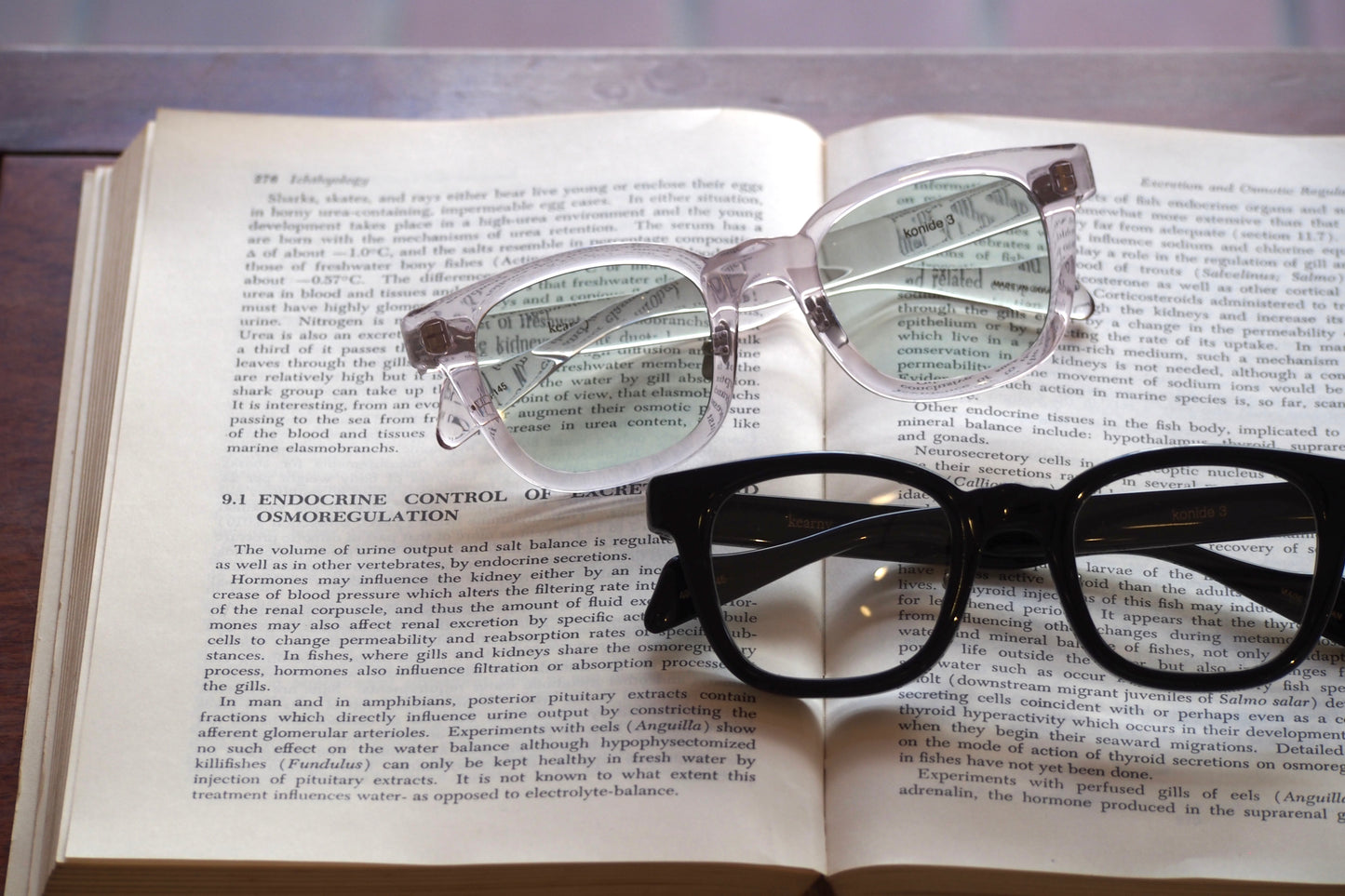 Kearny konide 3  / Black Clear lens