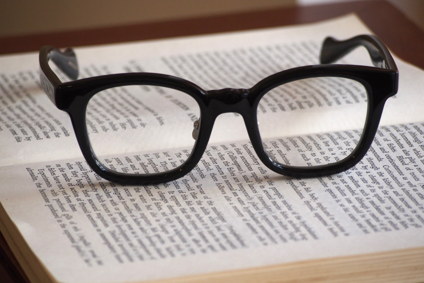 Kearny konide 3  / Black Clear lens