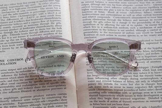 Kearny konide 3  / clear . green lens