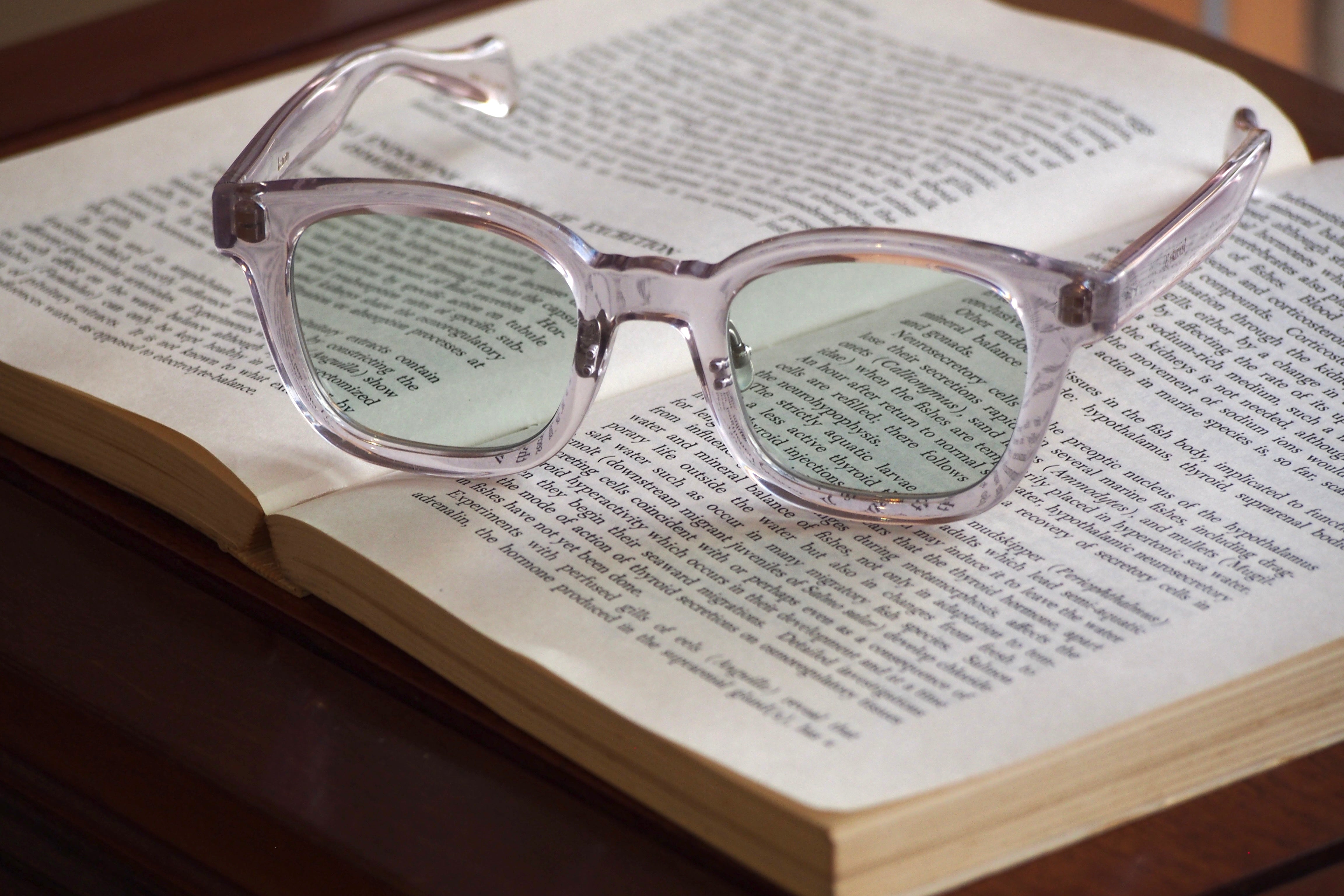 Kearny konide 3 / clear . green lens – SUI OPTIQUE